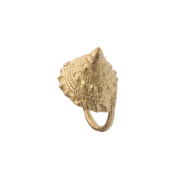 Złoty pierścionek z muszlą z kolekcji Maris