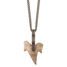 Naszyjnik z kolekcji Fossil ze skamieniałym zębem